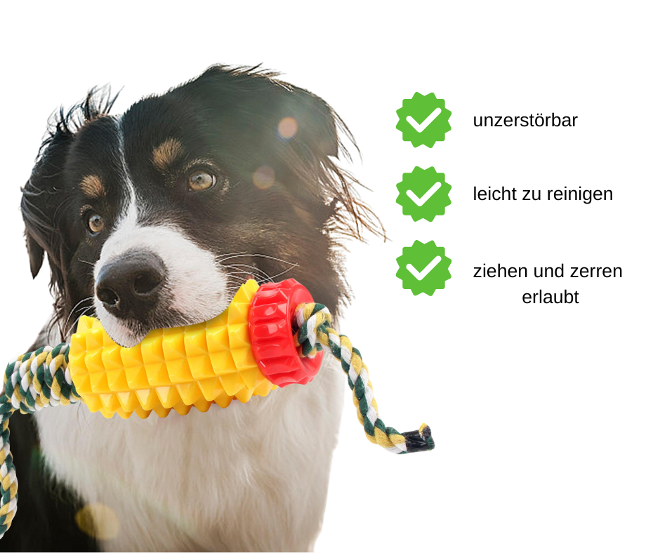 Chester´s Dental Power Tugger unzerstörbar, leicht zu reinigen, ziehen und zerren erlaubt