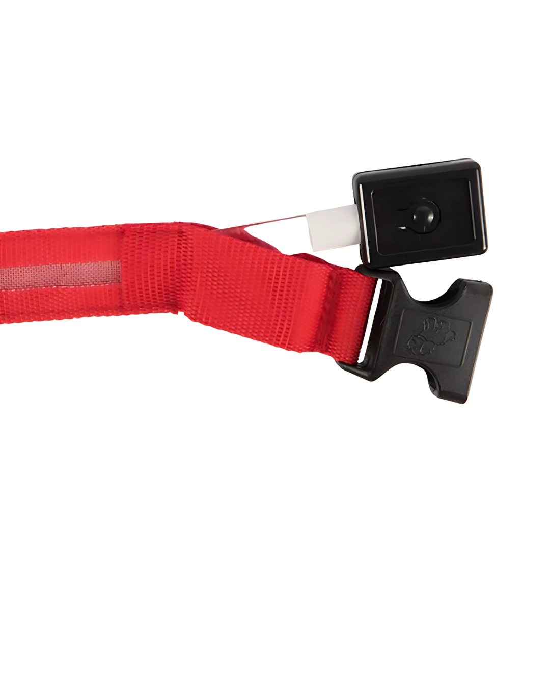 Leuchthalsband Hund & Katze LED