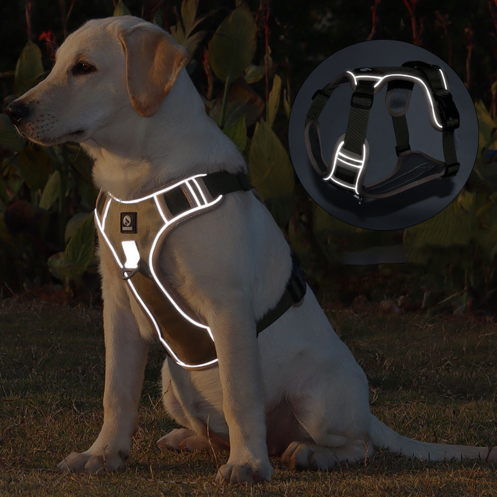 Chester Hundegeschirr mit Reflektion Dunkelaufnahme