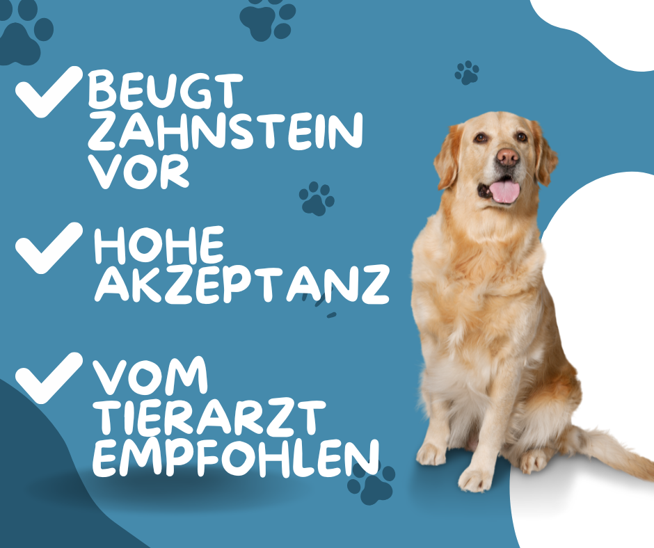 Zahnreinigungs-Set für Hunde - so sanft und so einfach!