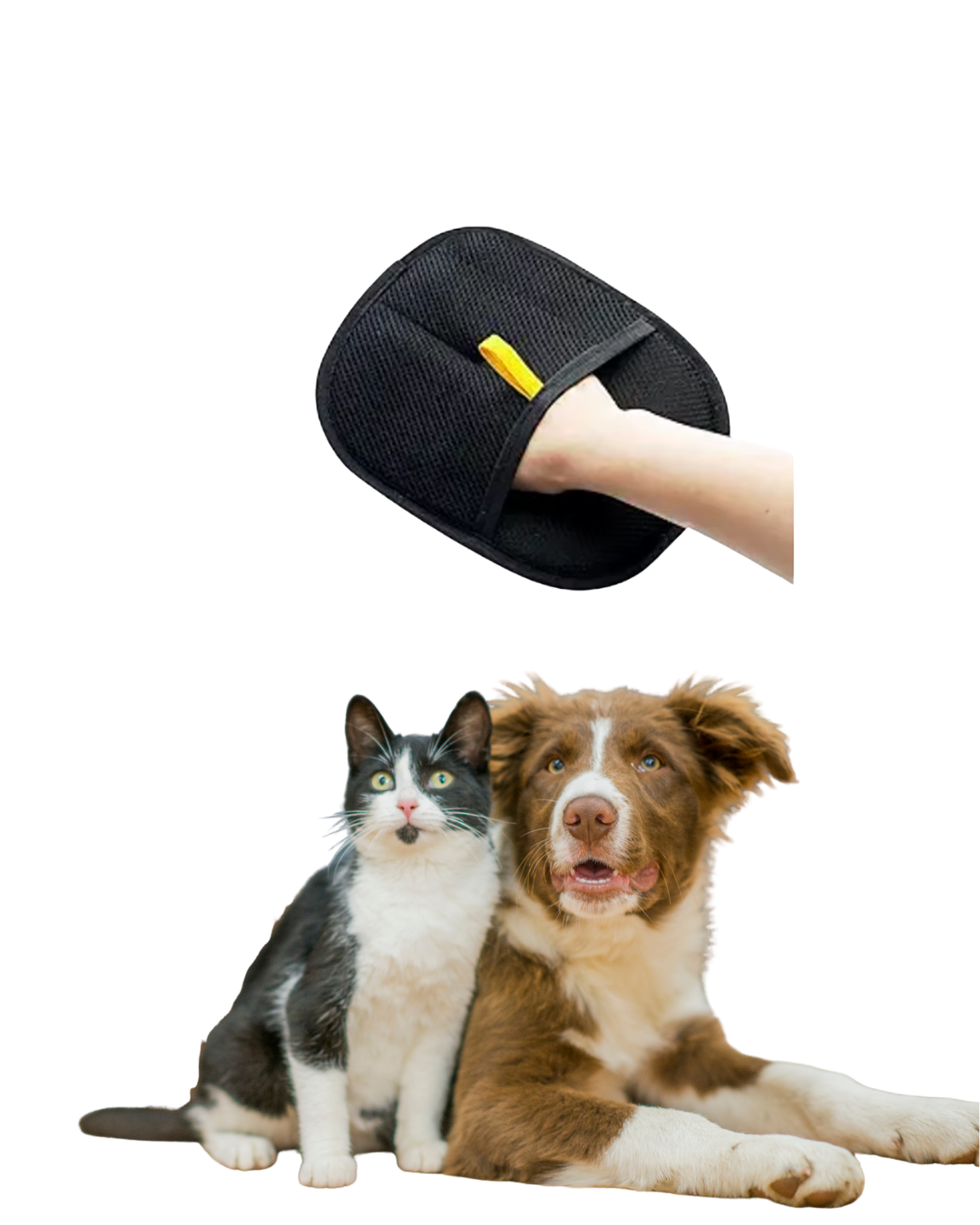Tierhaarentferner mit Hund und Katze
