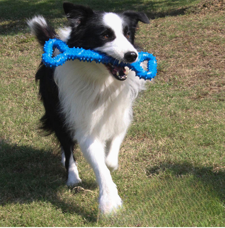 Chester´s Power Tugger für große Hunde