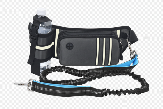 Trainings Kit für entspannte Spaziergänge