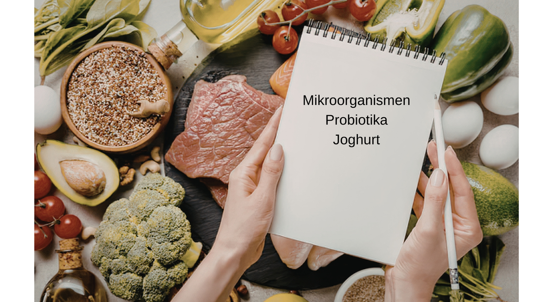 Revolution für die Darmgesundheit Hund - Probiotika und fermentierte Ernährung -Dr. Aamir Javed (Tierernährungswissenschaftler)