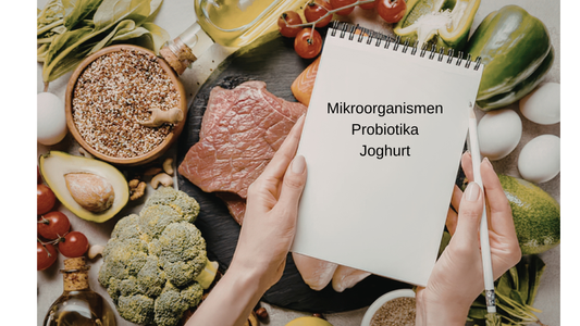 Revolution für die Darmgesundheit Hund - Probiotika und fermentierte Ernährung -Dr. Aamir Javed (Tierernährungswissenschaftler)