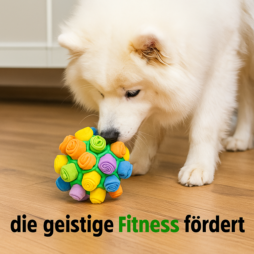 Schnüffelball Hund für Leckerlies und Beschäftigung