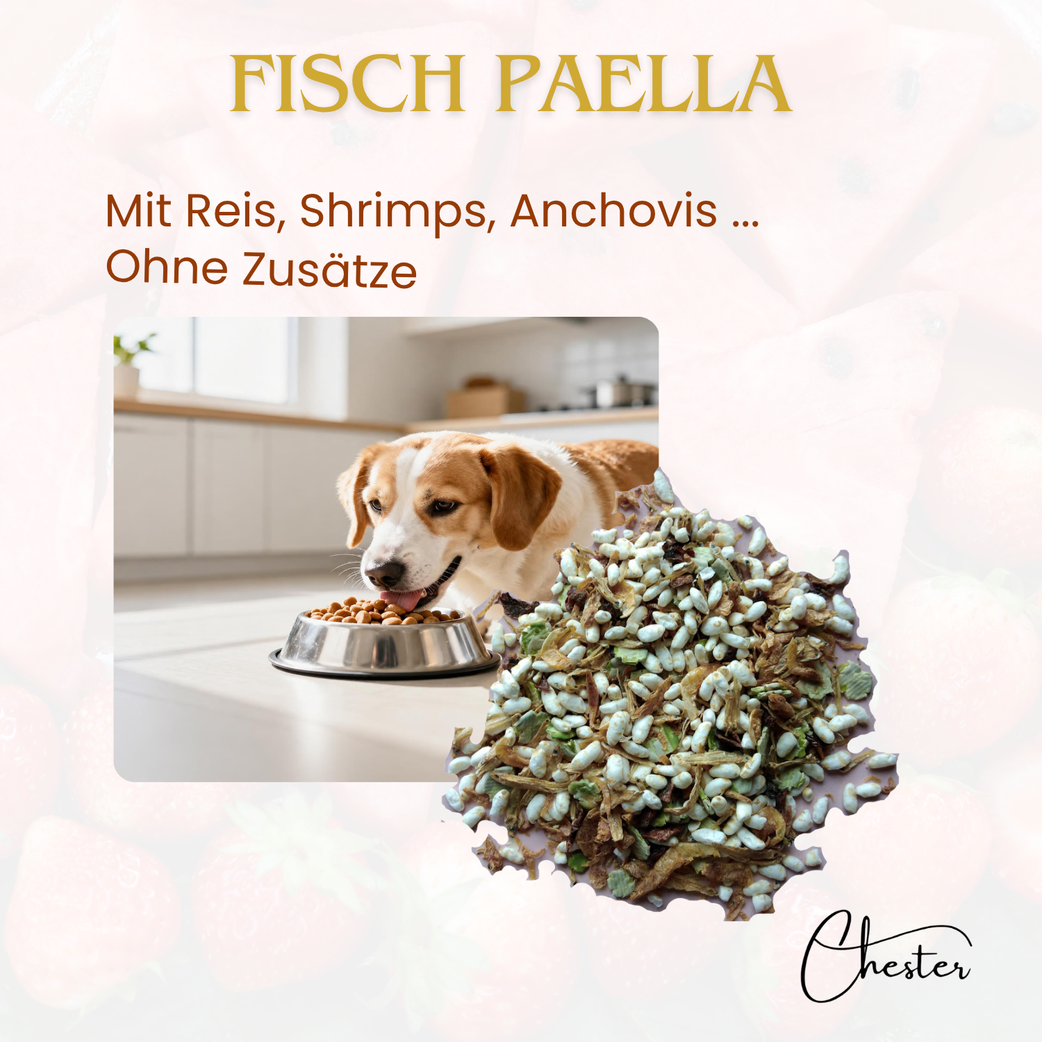 Barf Fischpaella im Hintergrund ein Hund der aus einem Napf frisst