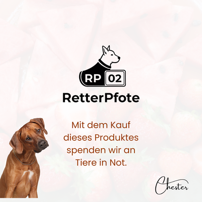 links schaut ein Hund mittig ein Label RP 02 RetterPfote - Text: Mit dem Kauf dieses Produktes spenden wir an Tiere in Not