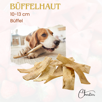 Hund kaut Kausteifen aus Büffelhaut