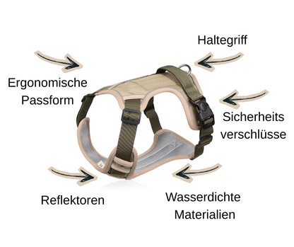 Chester Hundegeschirr - die Vorteile