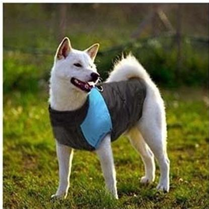 Chester´s Hundemantel Sport