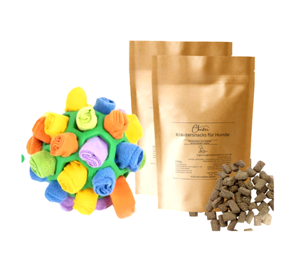 Chester Schnüffelball - Intelligenzspielzeug für Hunde