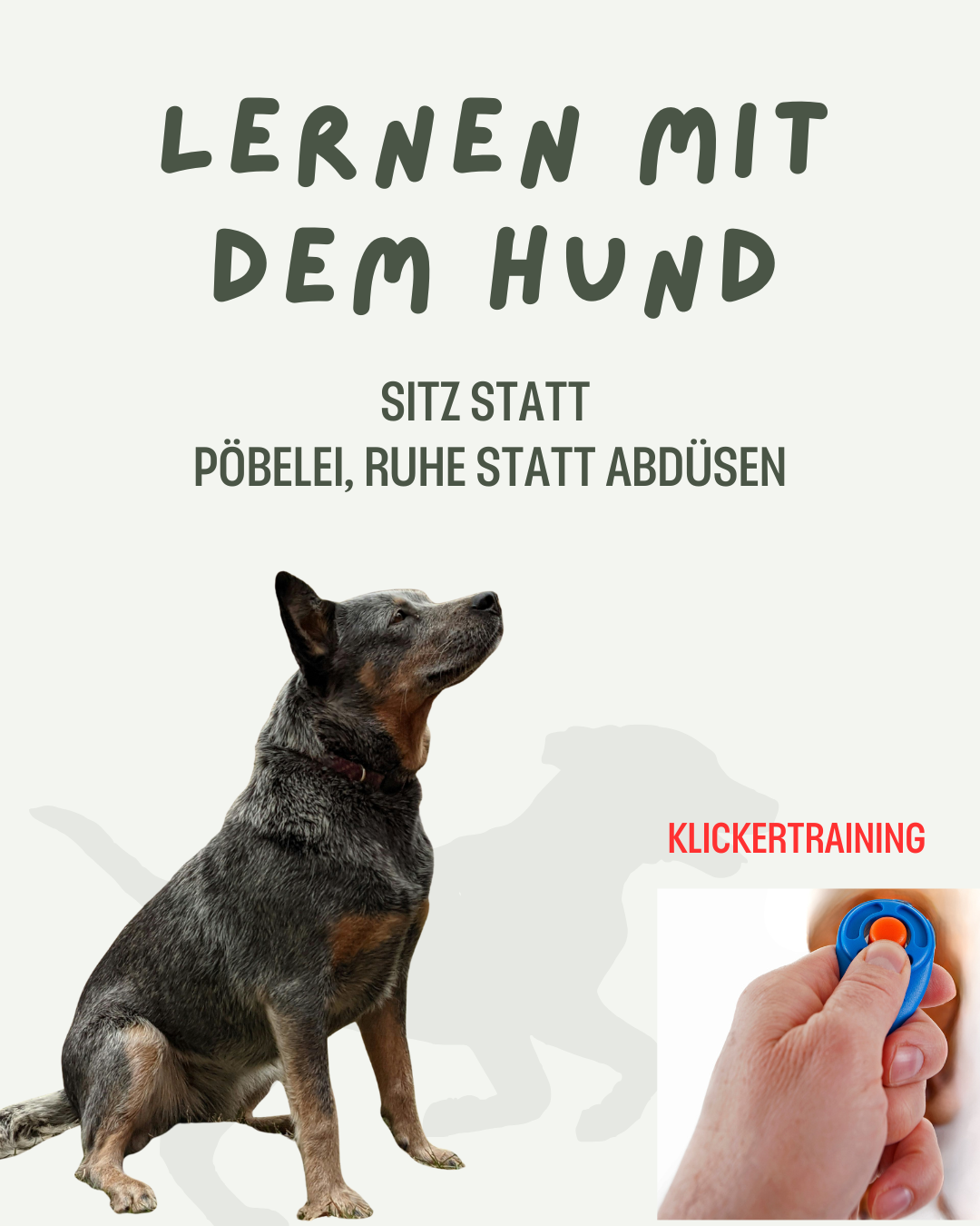 Hund links rechts Clicker - Lernen mit dem Hund