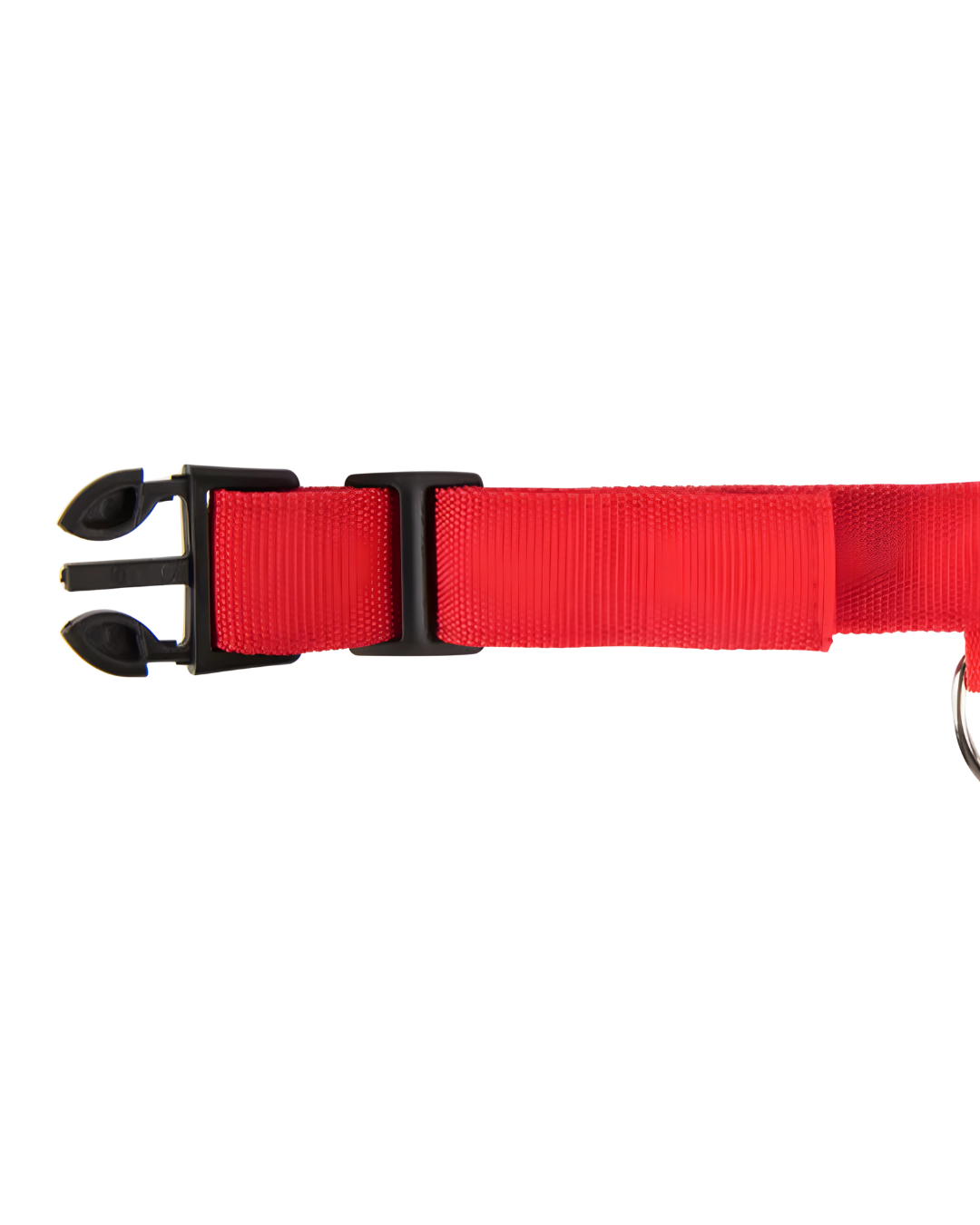 Leuchthalsband Hund & Katze LED