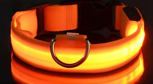 Orangenes Leuchthalsband mit dunklem Hintergrund