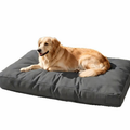 DryLine Hundebett trocken-sauber-gemütlich