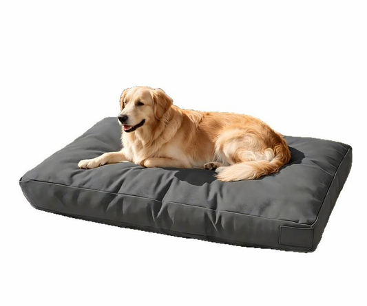 DryLine Hundebett trocken-sauer-gemütlich