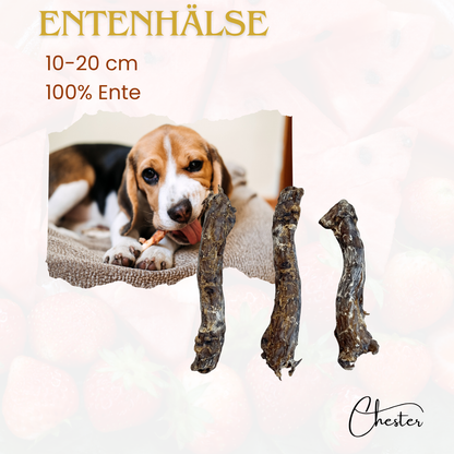 Entenhälse Text: 10-20cm, 100% Ente, 3 Stück Entenhälse, Hund liegt mit Leckerli im Körbchen