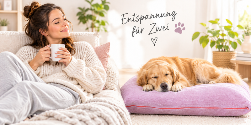 Entspannung für zwei, eine junge Frau entspannt mit einer Tasse Kaffee, daneben ein Retriver auf einem Hapwas Hundebett und schläft