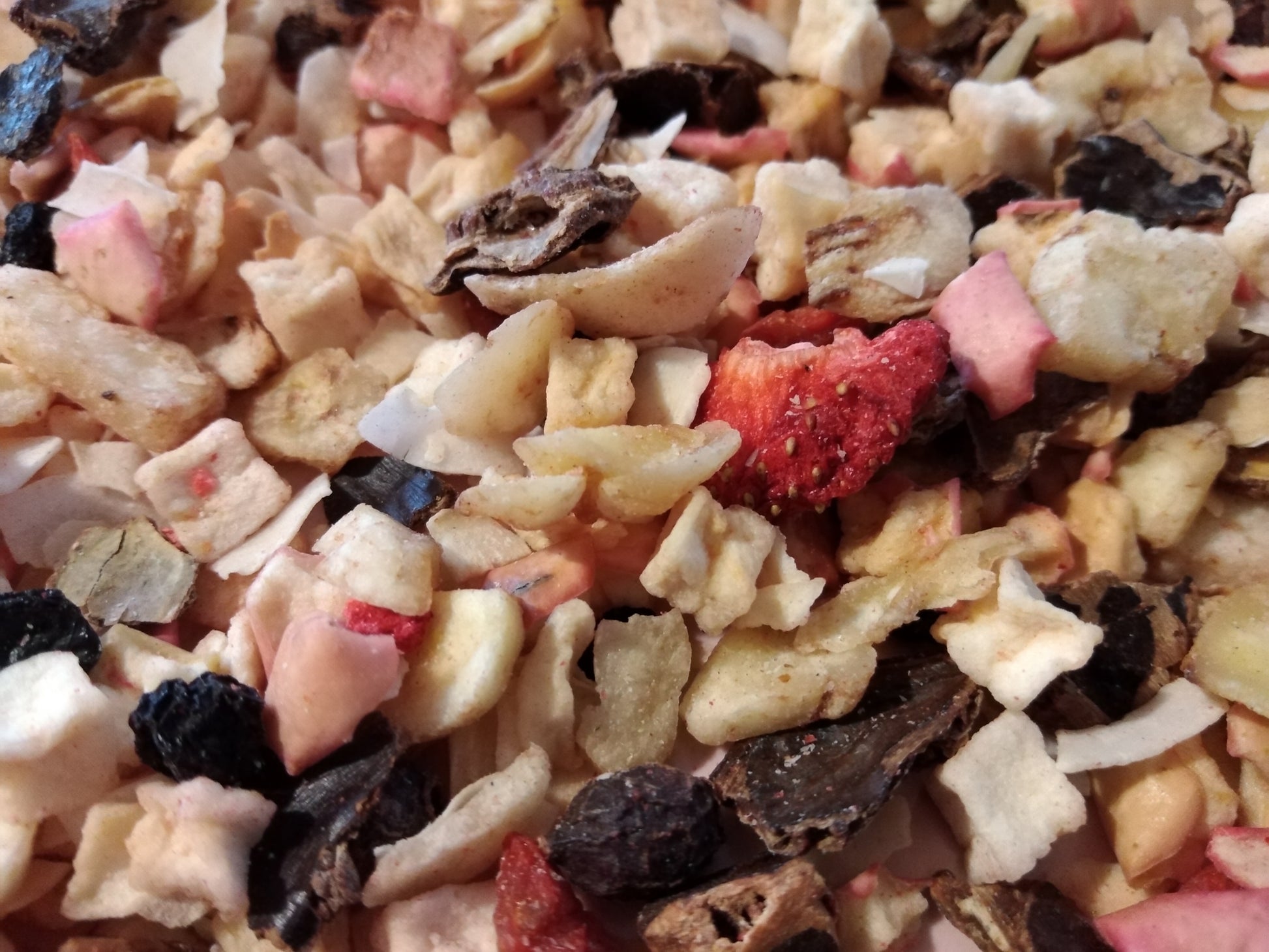 Fischpaella Trockenfutter Nahaufnahme