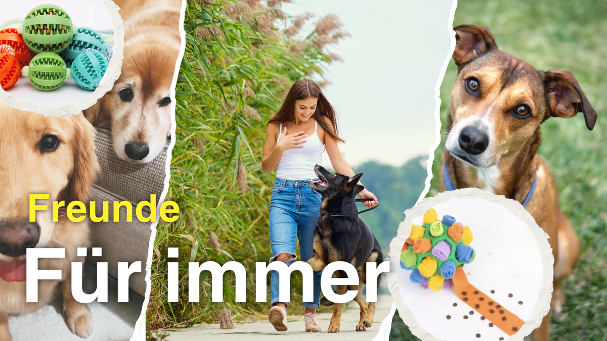 Banner mit vielen Bildern, Hunde, Spaziergängerin mit Hund Aufschrift Freunde für immer