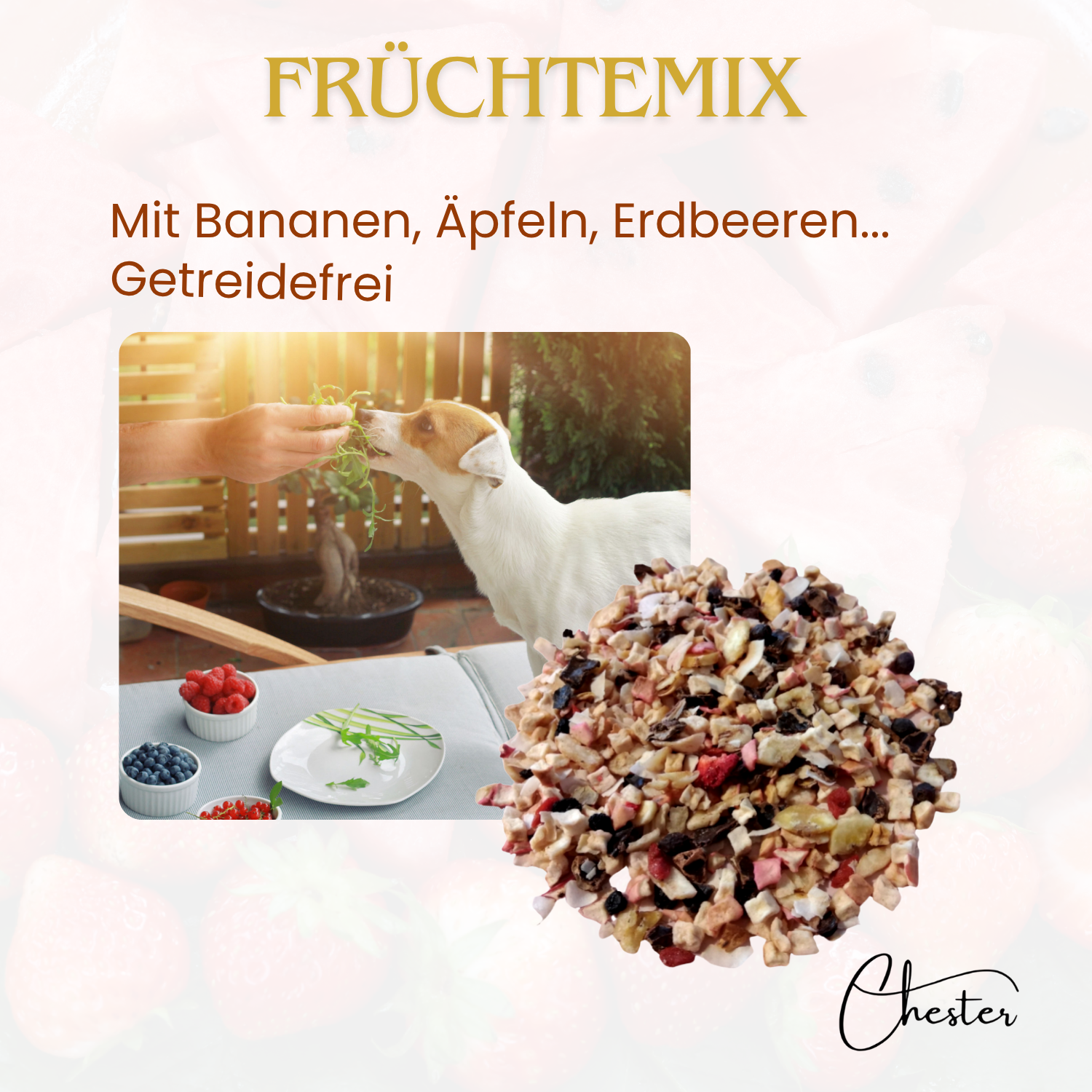 Früchtemix Text: Mit Bananen, Äpfeln, Erdbeeren, Getreidefrei, Bild: ein Hund wird gefüttert, im Vordergrund Früchtemix-Trockenfutter