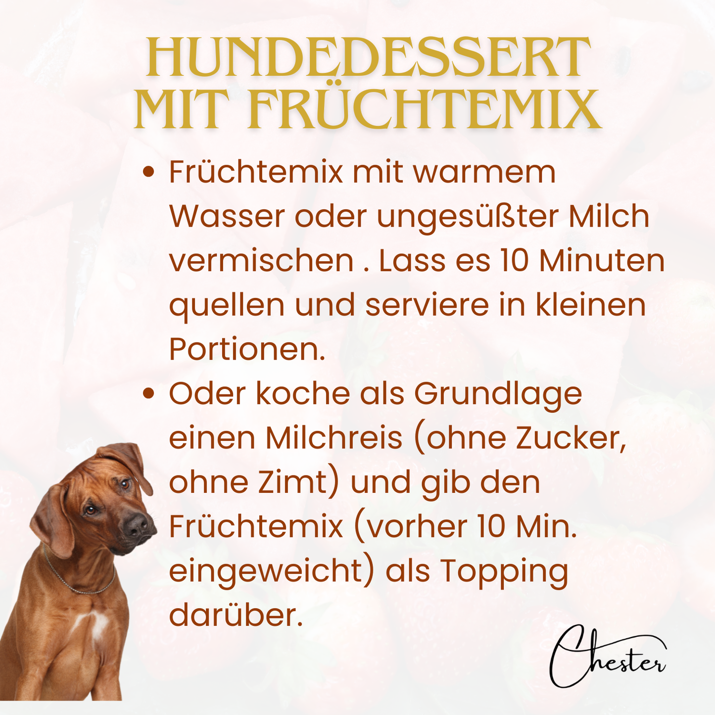 Links: Hund der nach oben schaut, mittig ein kurzer Rezeptvorschlag, Überschrift: Hundedessert mit Früchtemix