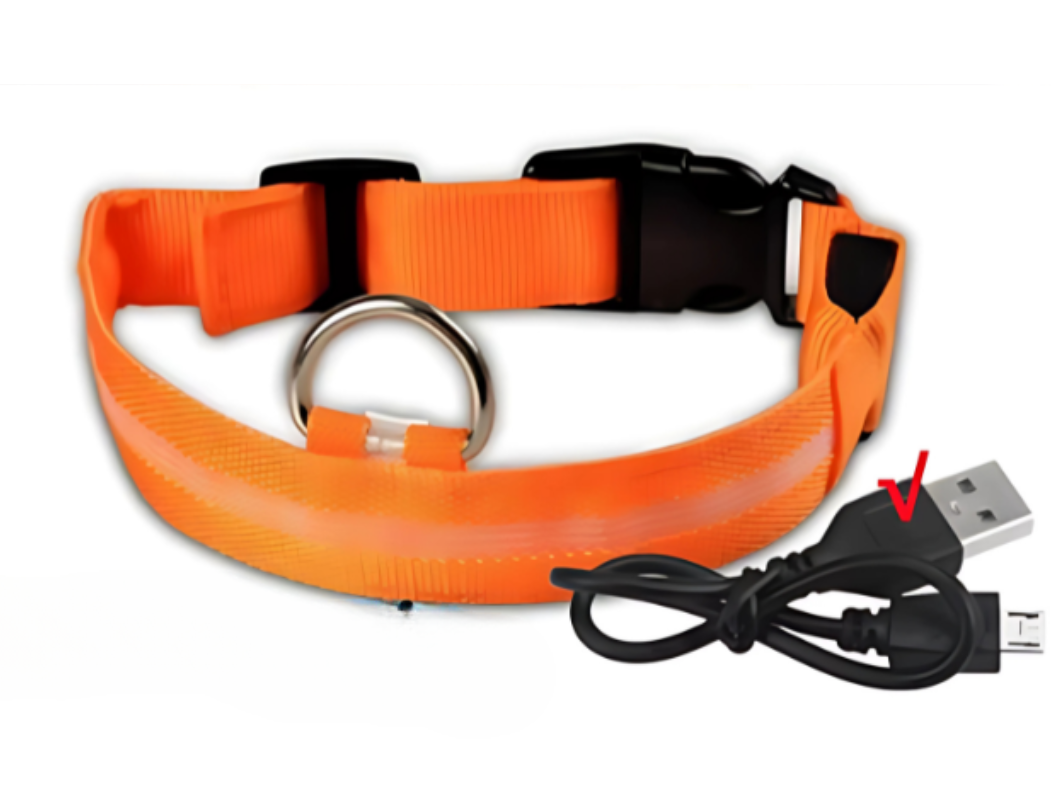 Leuchthalsband Orange