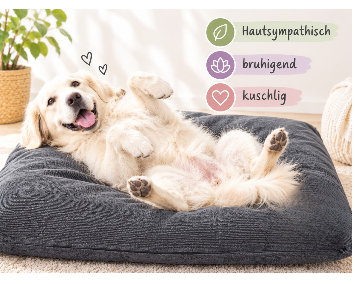 Hundebett mit Hanffüllung dunkelgrau, weißer Hund auf dem Rücken, Pfoten hoch. Text: Hautsymphatisch, beruhigend, kuschelig
