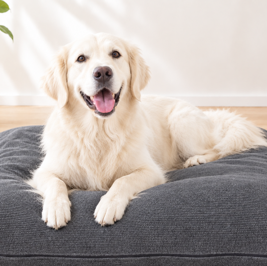 Hundekissen mit Hanffüllung Grau mit weißem Hund