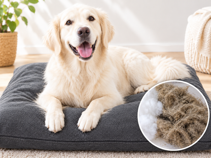 Hundekissen mit Hanffüllung Grau weißer Hund, Ausschnitt der Hanffüllung