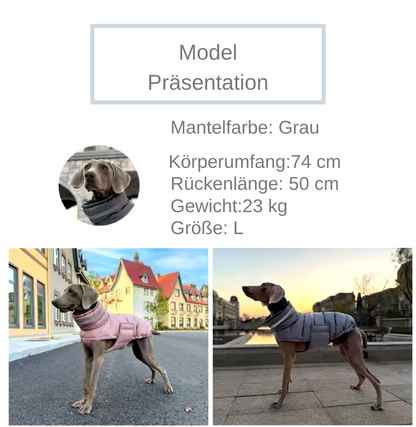 Modelpräsentation: Mantel: Grau, Körper 74cm, Rücken 50cm Gewicht 23 kg Gr:L darunter zwei Hunde mit Hundemantel