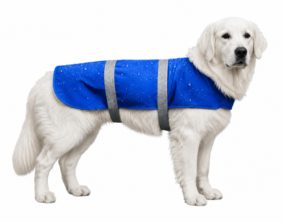 Softshell Hundemantel winddicht, wasserdicht