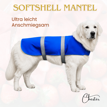 Retriver in weiß mit blauem Softshell Hundemantel