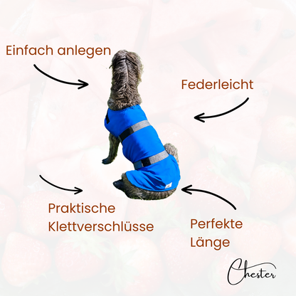 Hund mit Hundemantel blau 