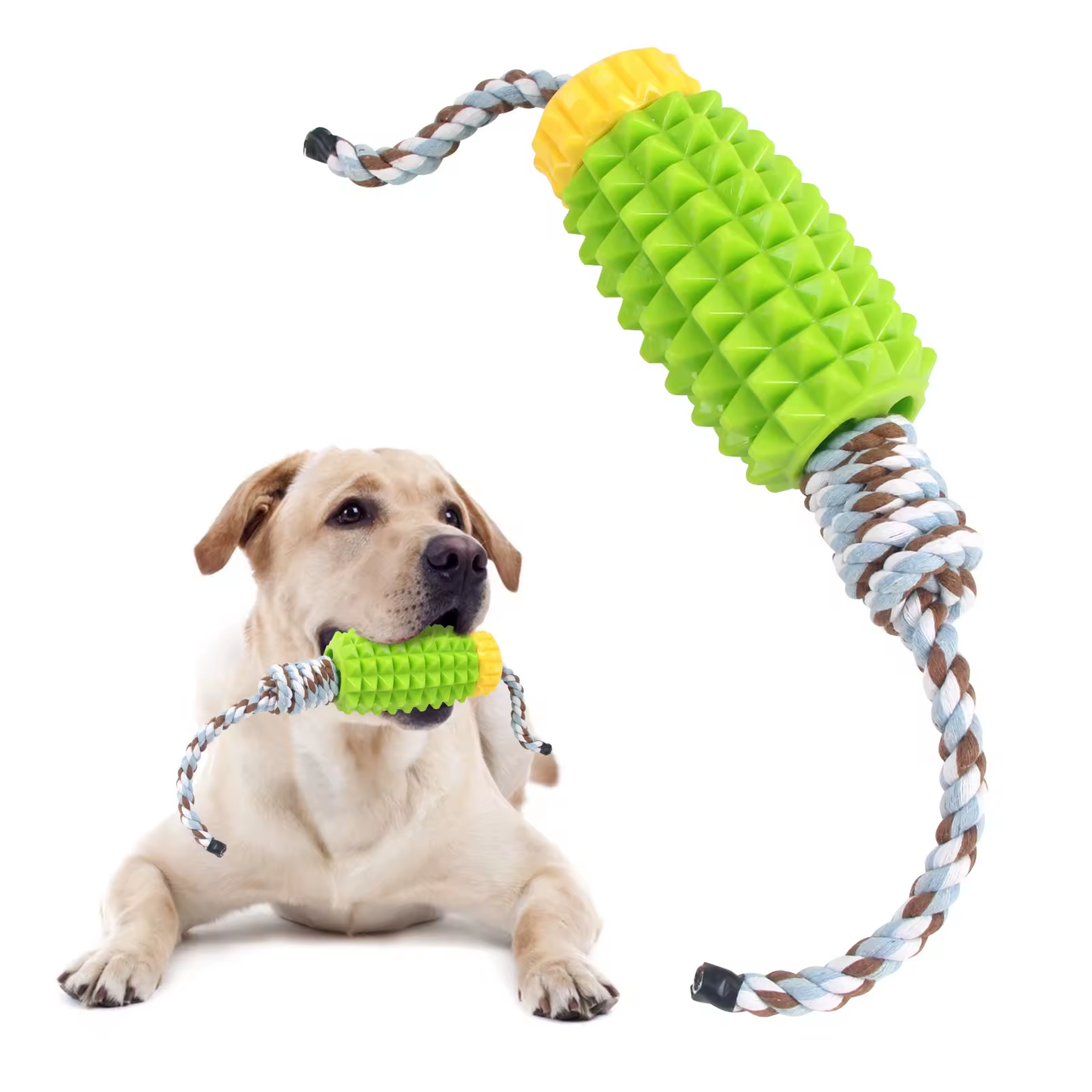 Bundles: 3 unzerstörbare Hundespielzeuge | Stärke, Langlebigkeit & Mehrwert