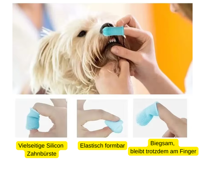 Hundezahnbürste vom Tierarzt empfohlen