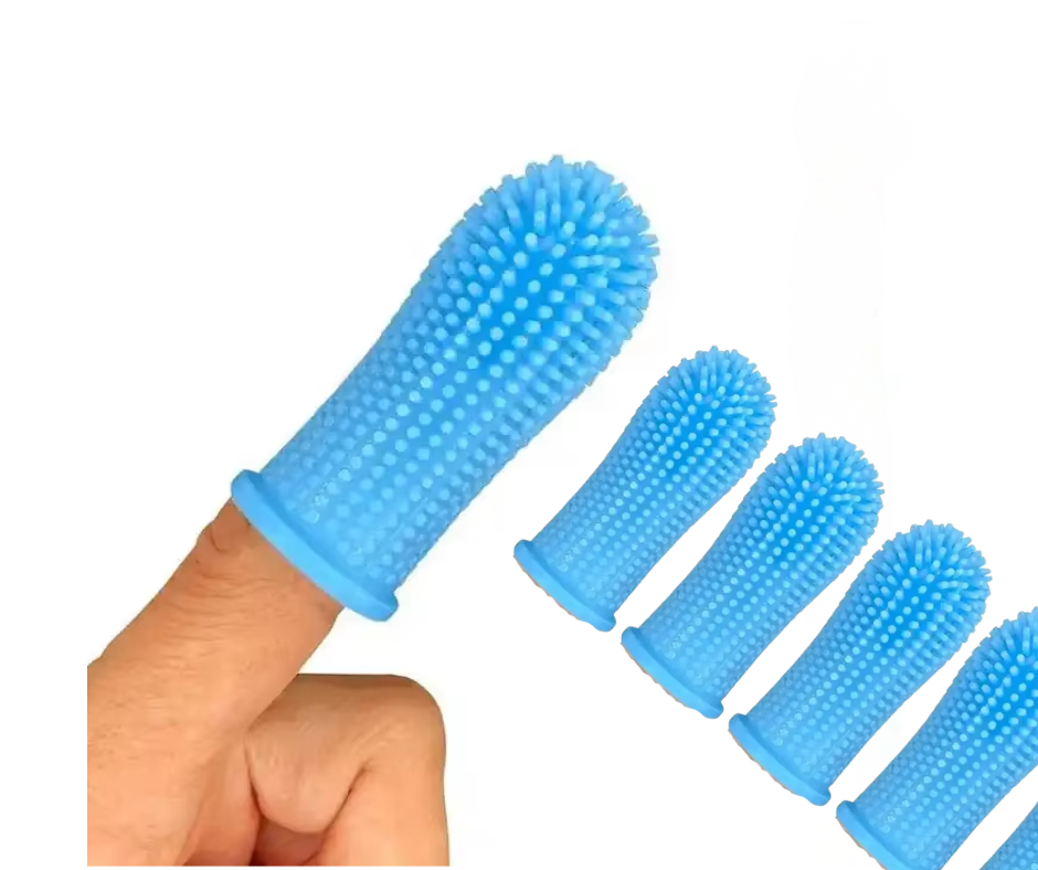 Zahnreinigungs Set für Hunde