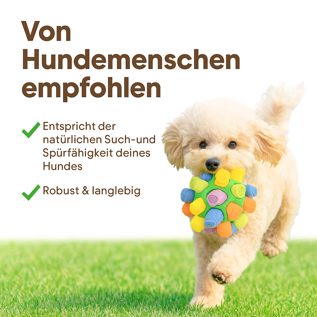 Hund mit Ballspielzeug im Maul - Text von Hundemenschen empfohlen