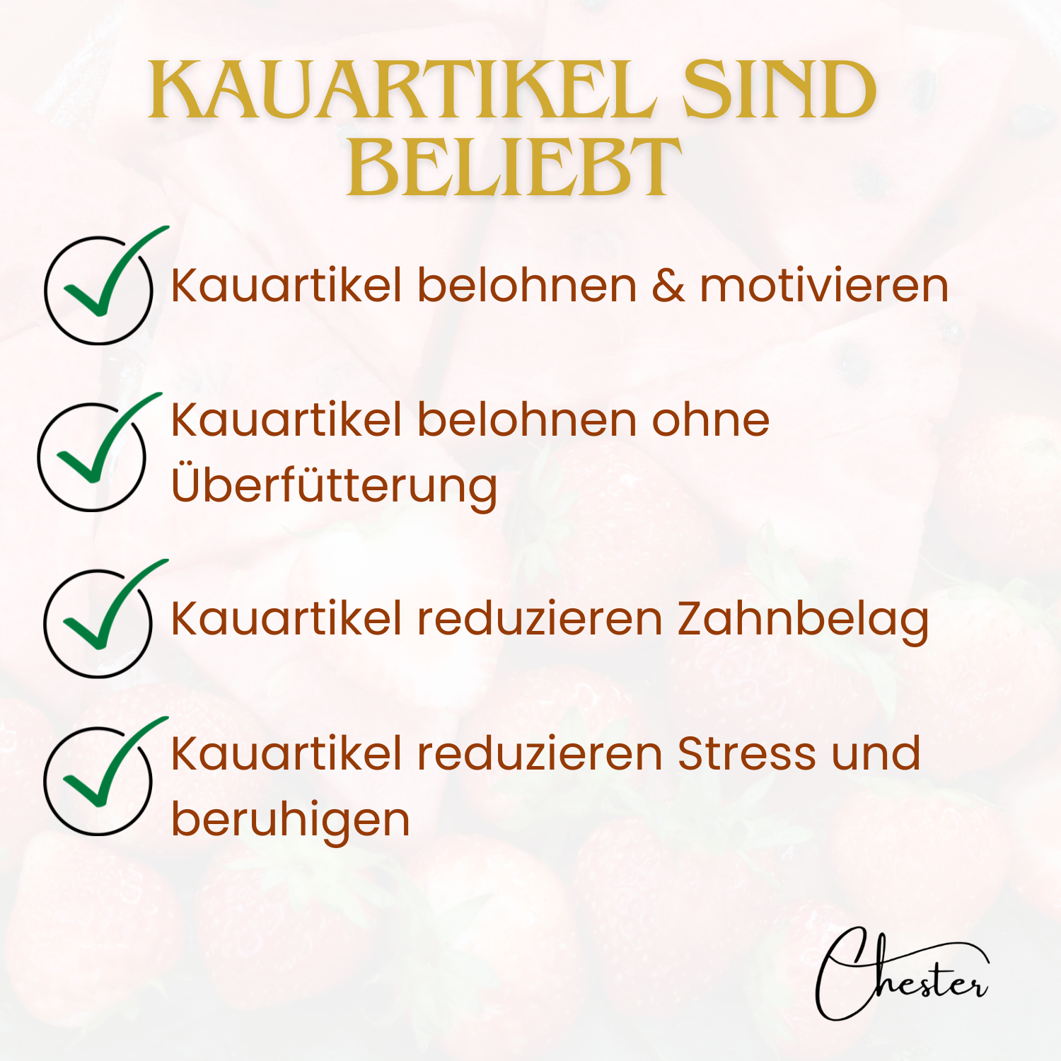 Kauartikel sind beliebt, Unterpunkte mit Haken: belohnen u. motivieren, ohne Überfütterung, reduziert Zahnbelag, reduzieren Stress