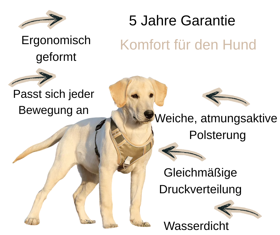 Chester Hundegeschirr sicherer Halt, bequemer Komfort