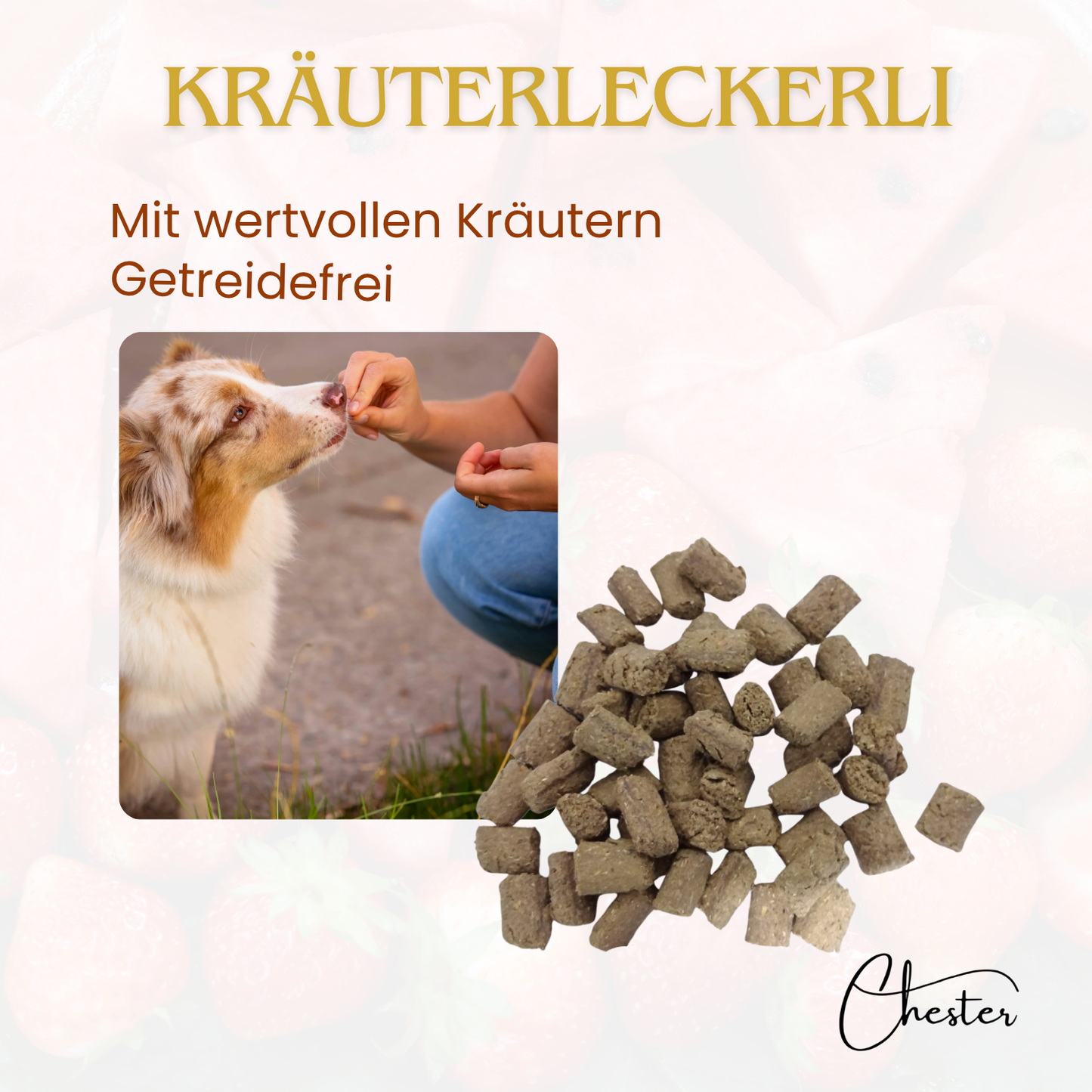 Hund wird mit Leckerli gefüttert, im Vordergrund Kräuterleckerli, Text: Mit wertvollen Kräutern, Getreidefrei