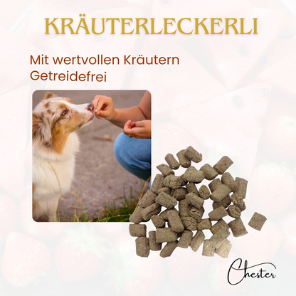Hund wird mit Leckerli gefüttert, im Vordergrund Kräuterleckerli, Text: Mit wertvollen Kräutern, Getreidefrei
