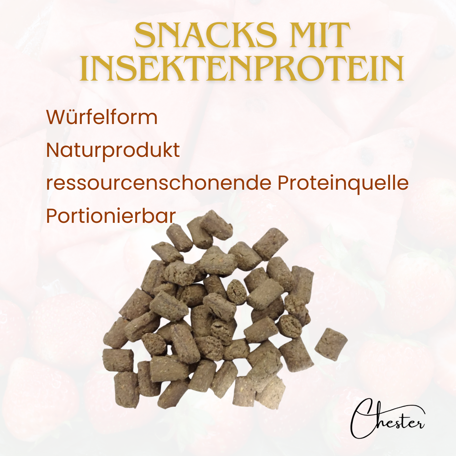 Snacks mit Insektenprotein Text: Würfelform, Naturprodukt, ressourcenschonende Proteinquelle, Portionierbar, Im Vordergrund Leckerli