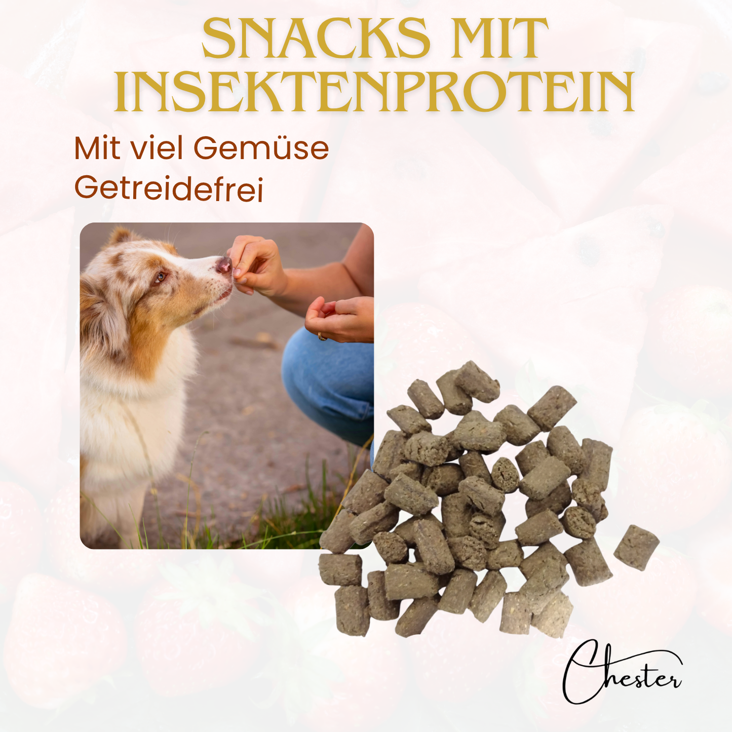 Snacks mit Insektenprotein Text: Mit viel Gemüse, Getreidefrei Abbildung Hund wir mit Leckerli gefüttert, im Vordergrund Leckerli