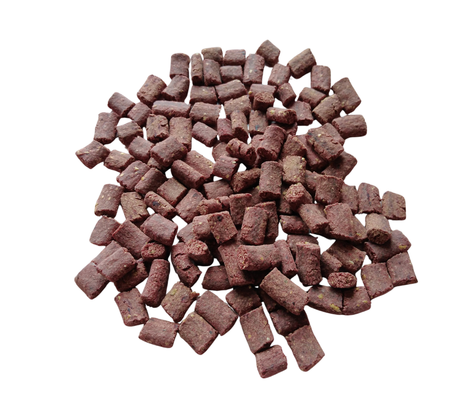 Leckerli mit Insekten für Hunde