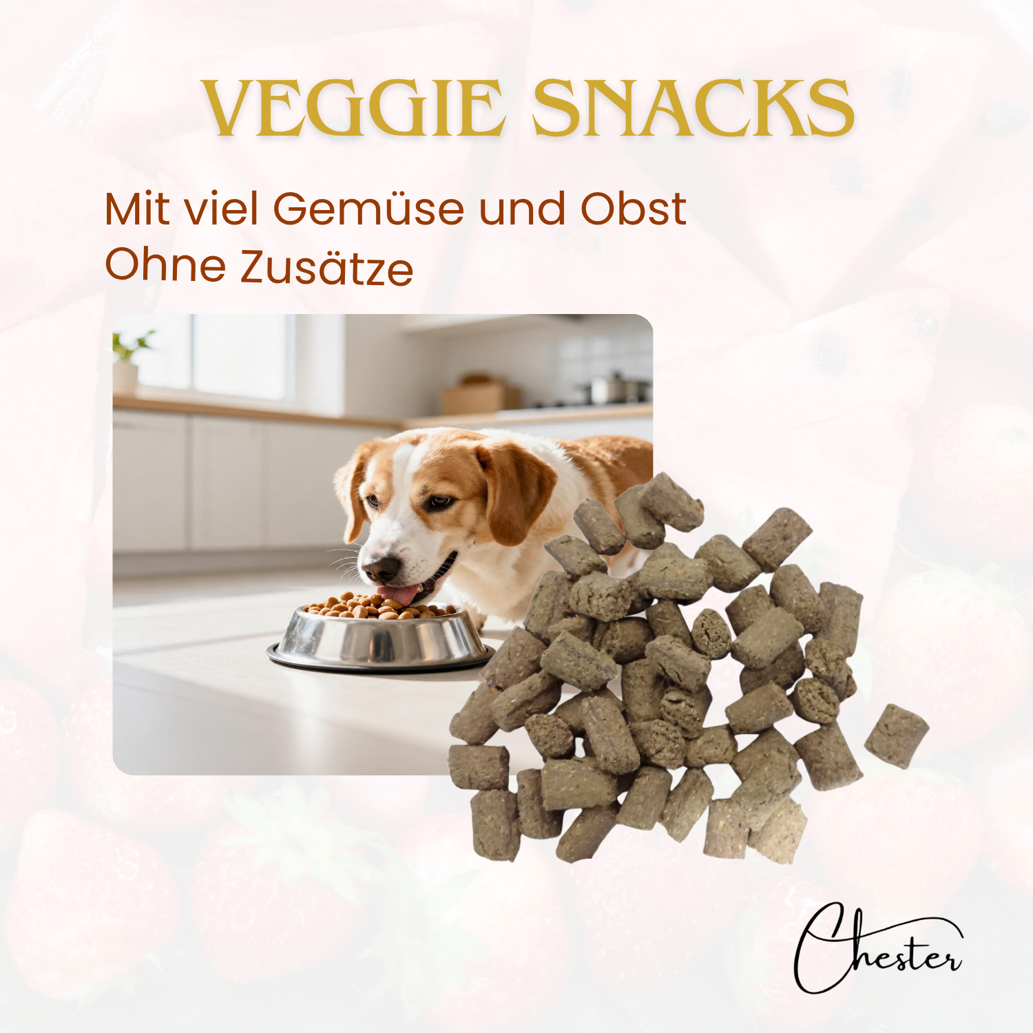 Veggie Snacks Text: mit viel Gemüse und Obst Bild: Hund frisst aus Napf im Vordergrund: Leckerlis