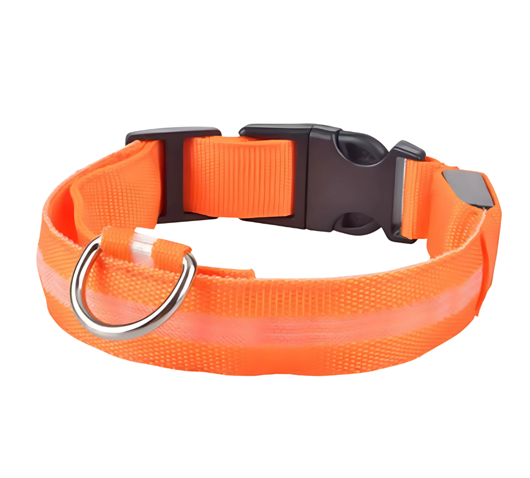 Leuchthalsband Orange