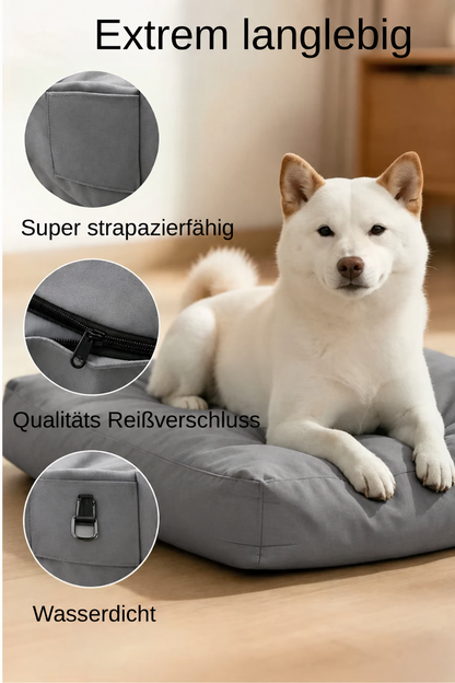 Orthopädisches Hundebett mit weißem Hund