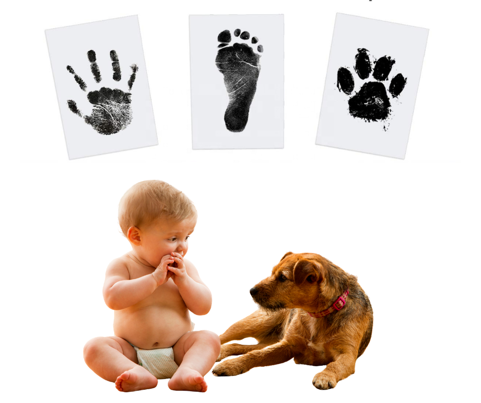 Pfotenabdruck Komplettset